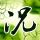 定制新版阿兹塞太平洋文凭学位【degxx.com】